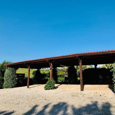 8380 Agriturismo L'Oleandro Montemerano Exteriör bild