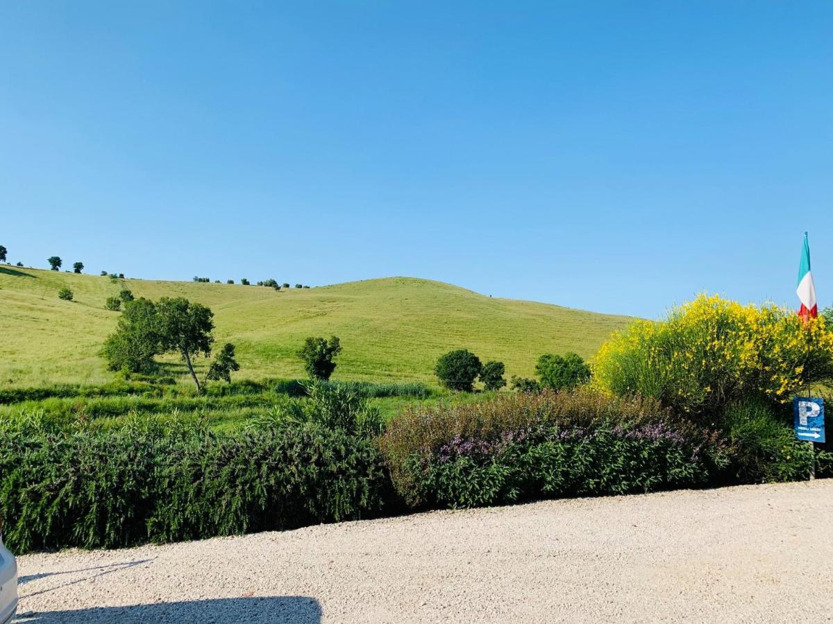 8380 Agriturismo L'Oleandro Montemerano Exteriör bild