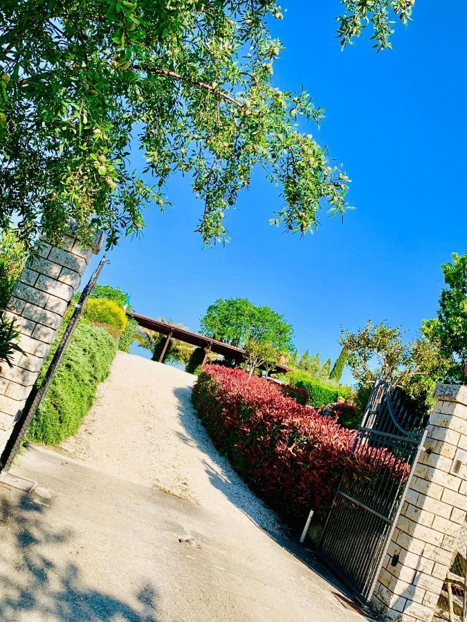 8380 Agriturismo L'Oleandro Montemerano Exteriör bild